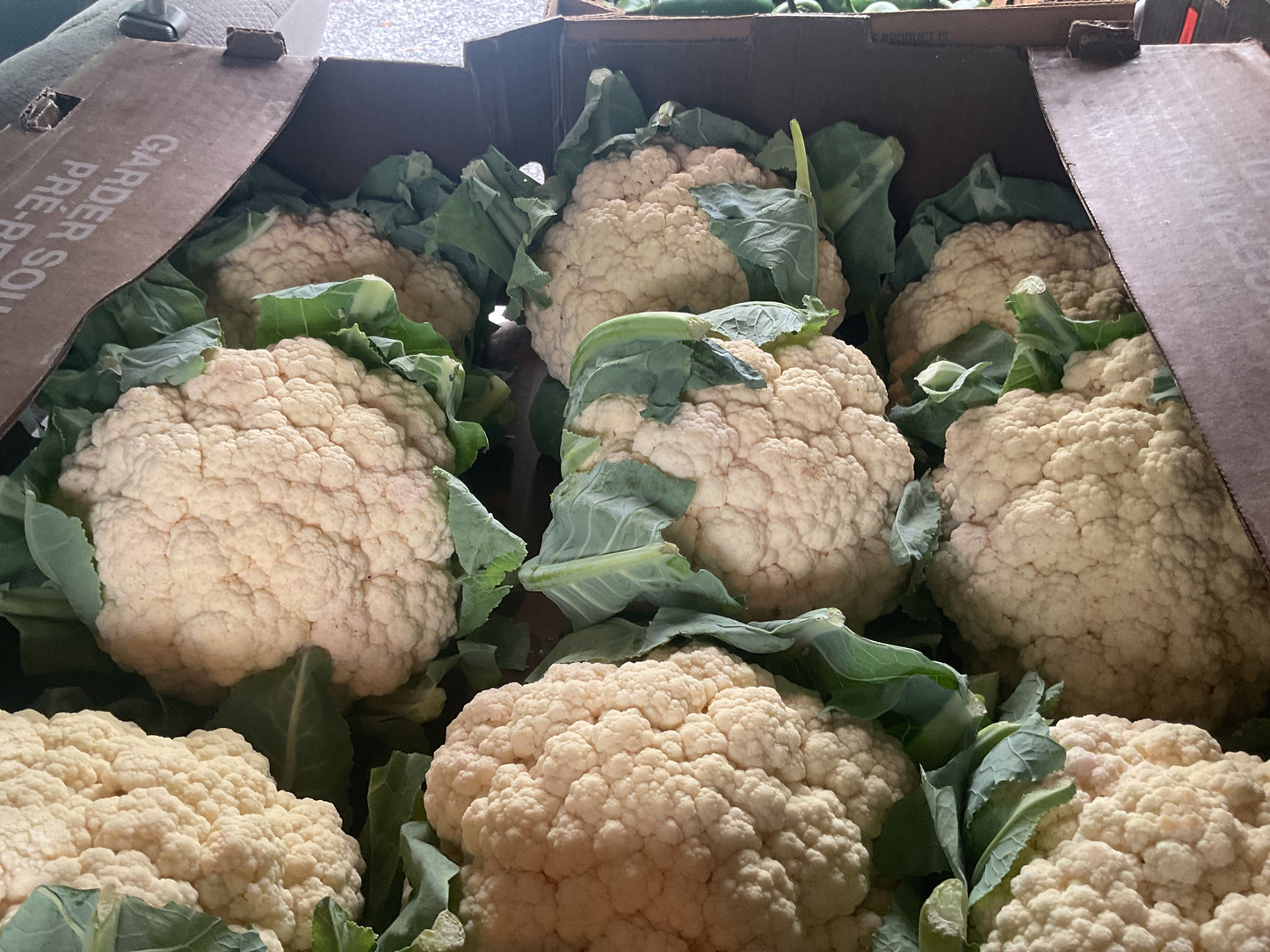 Cauliflower