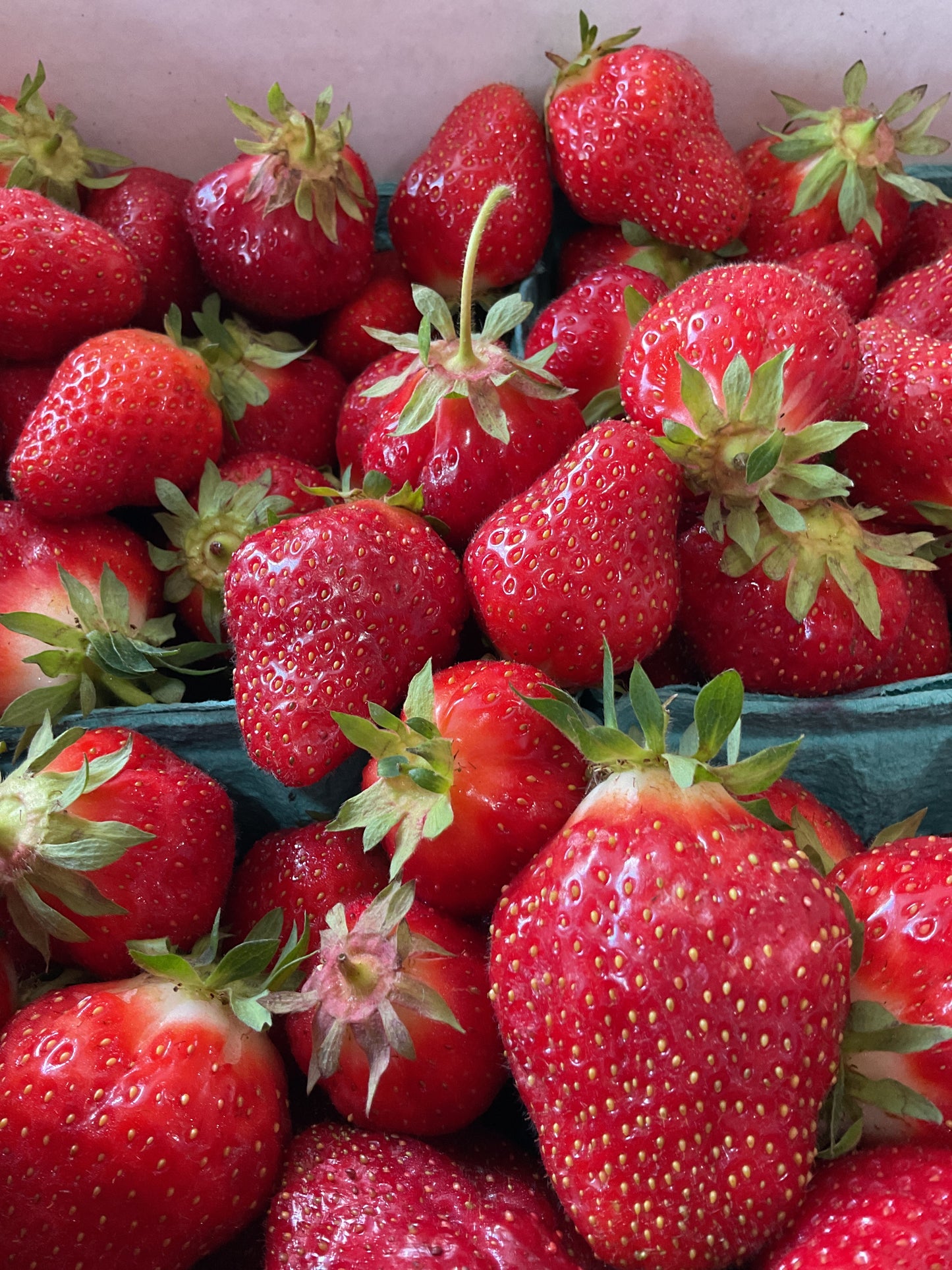 Strawberries-Pint