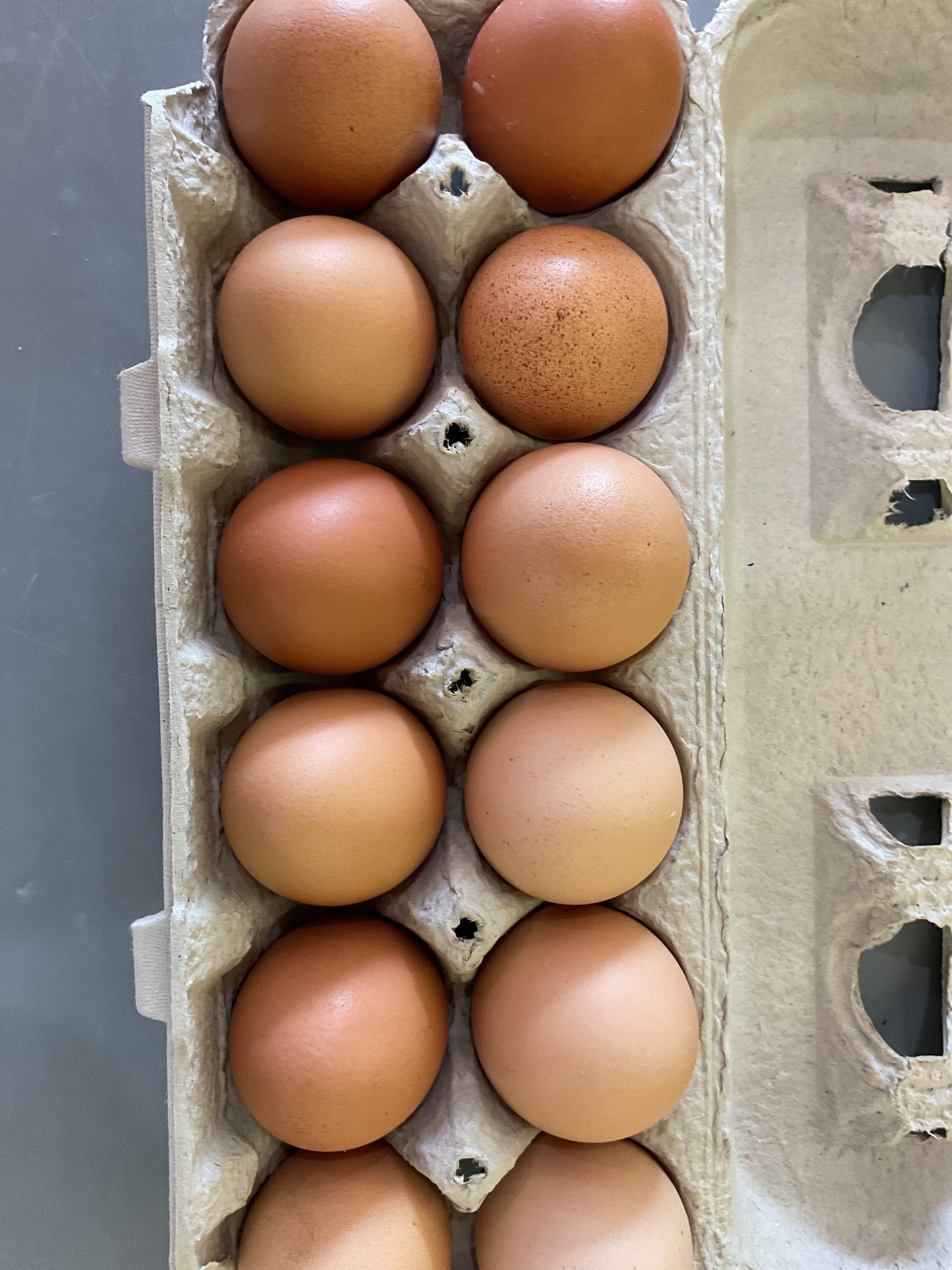 Farm Fresh Eggs
