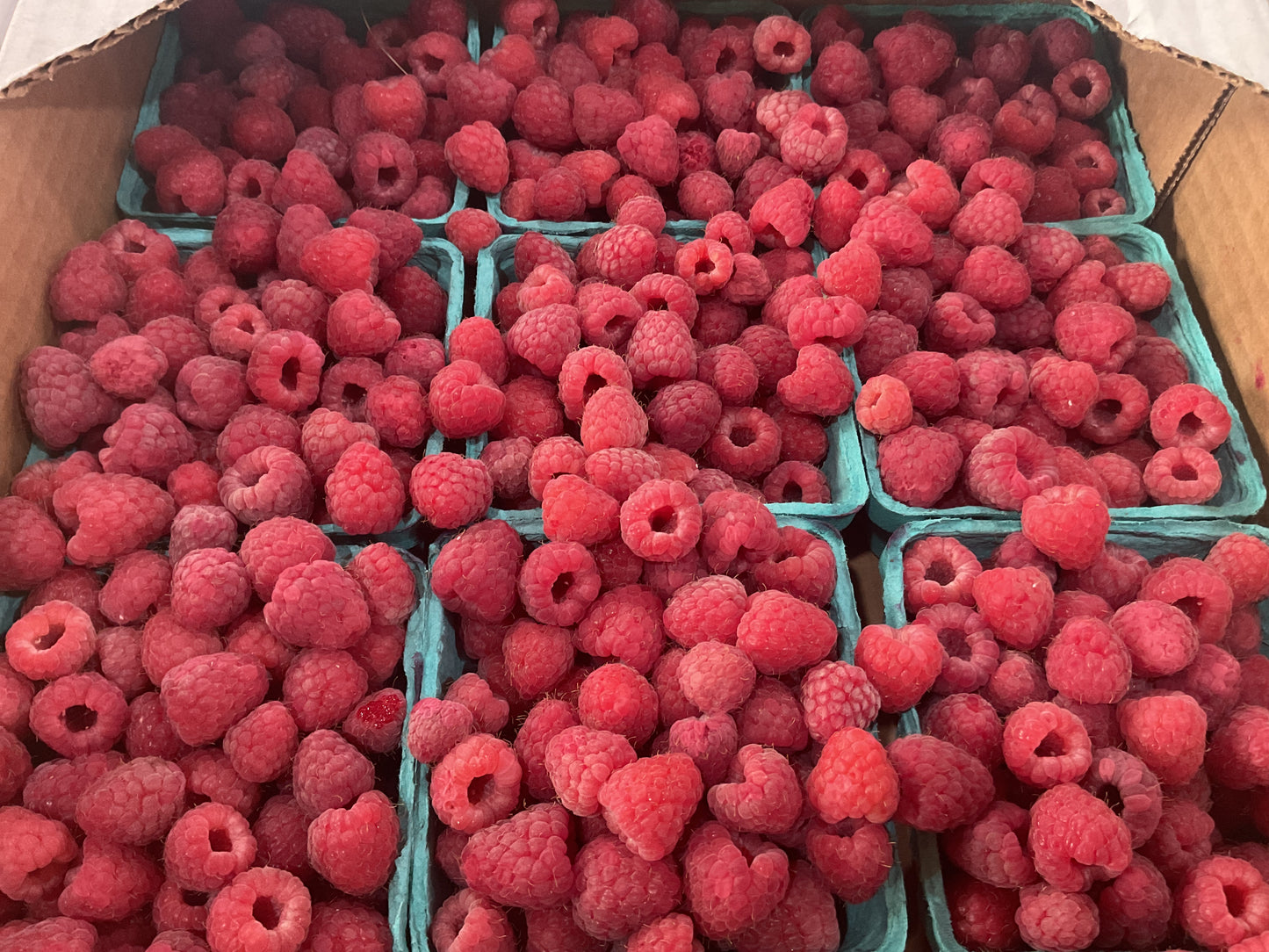 Raspberries