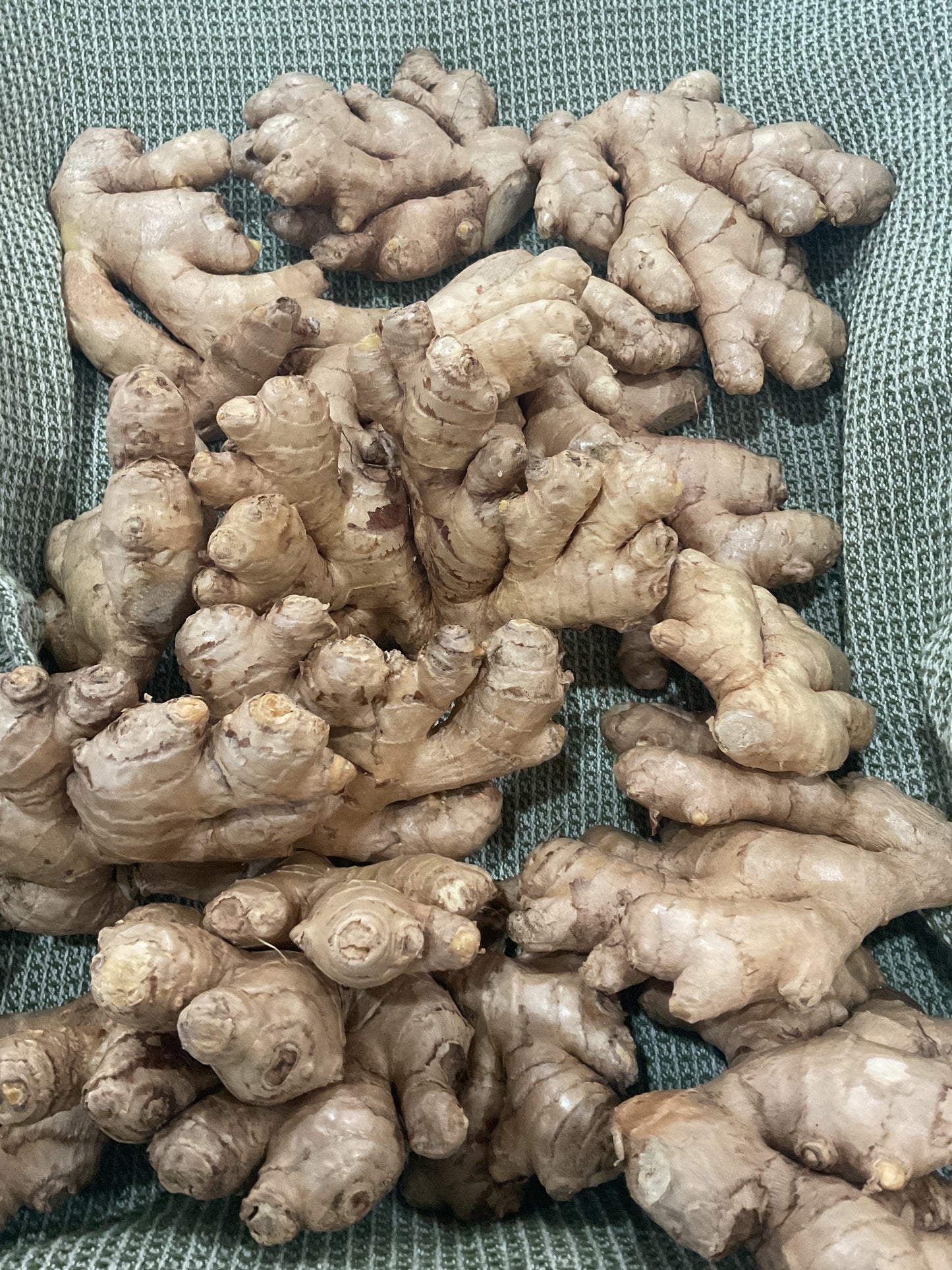 Ginger Root