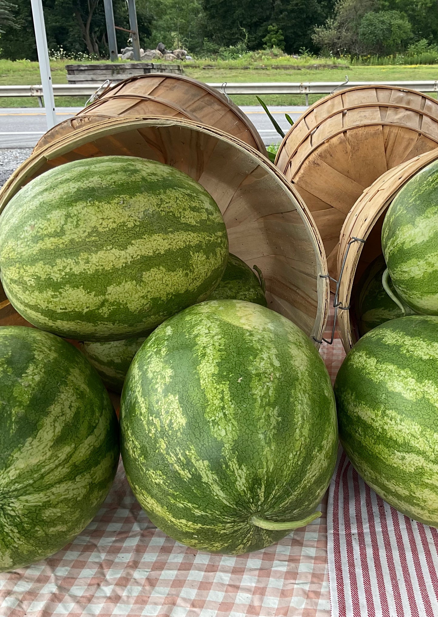 Local Watermelons