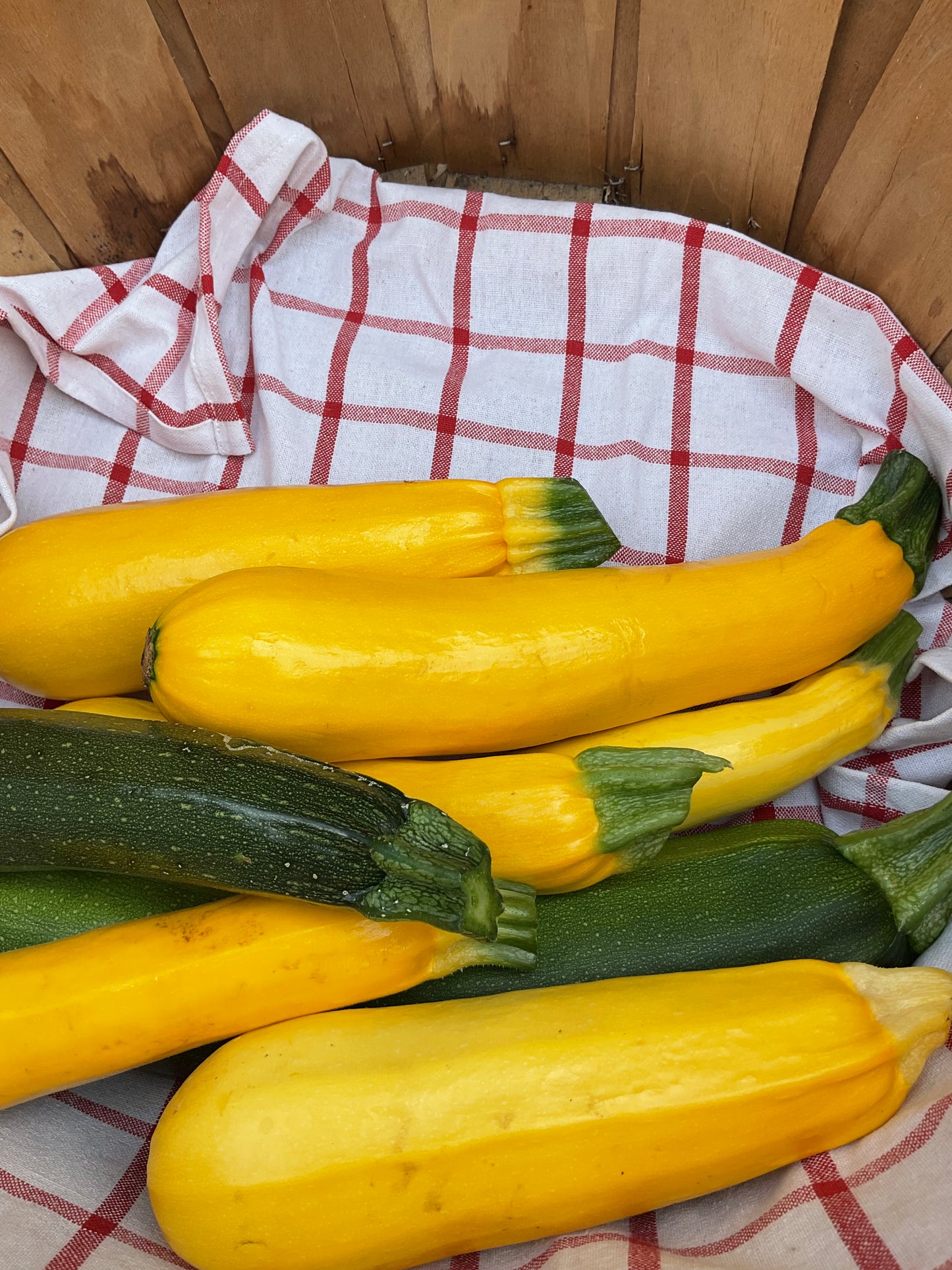 Local Squash