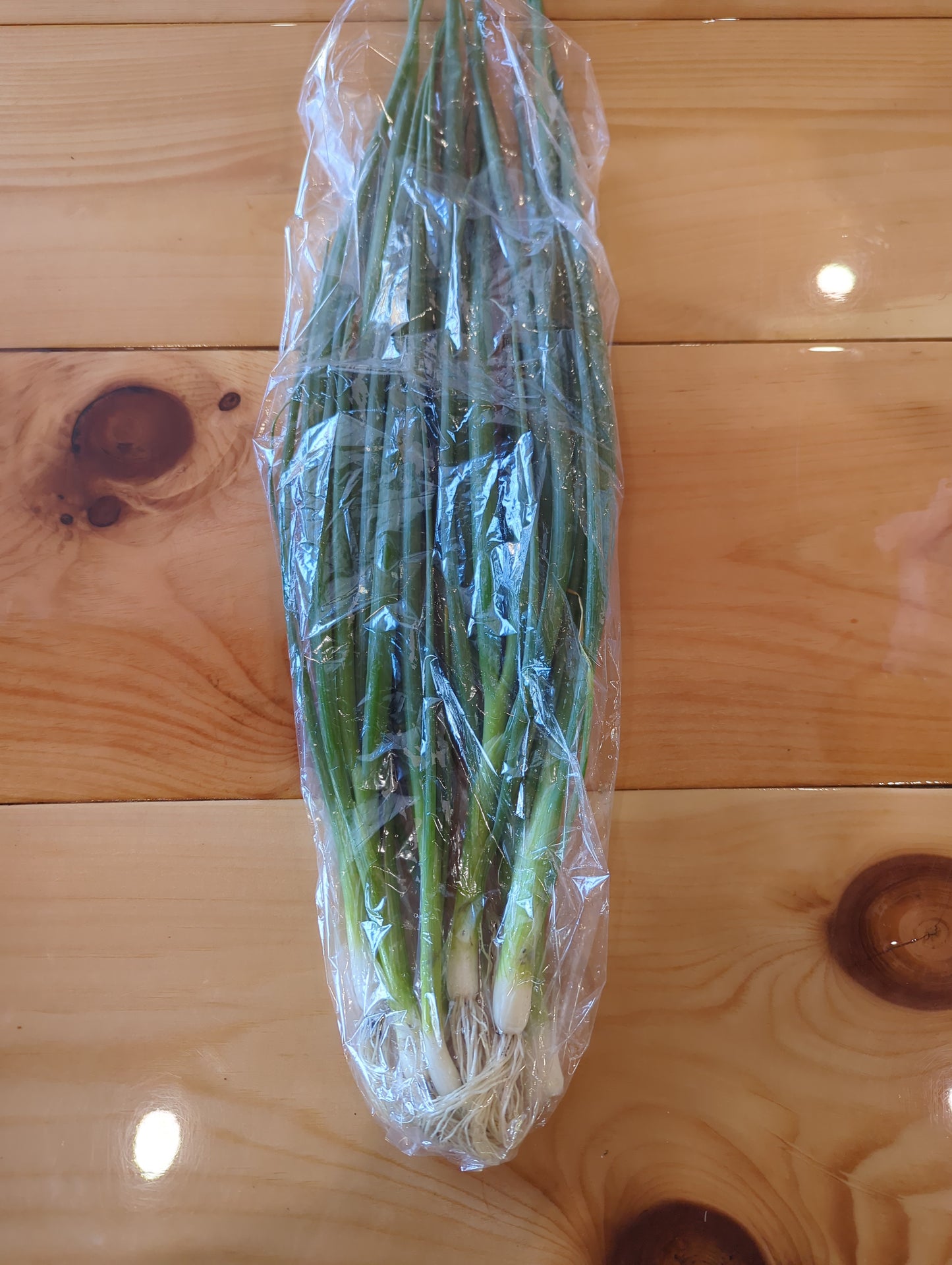 Scallions