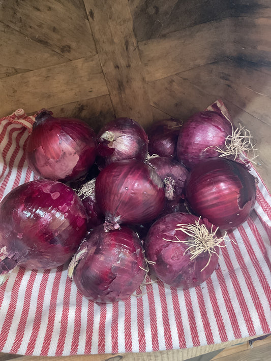 Onion