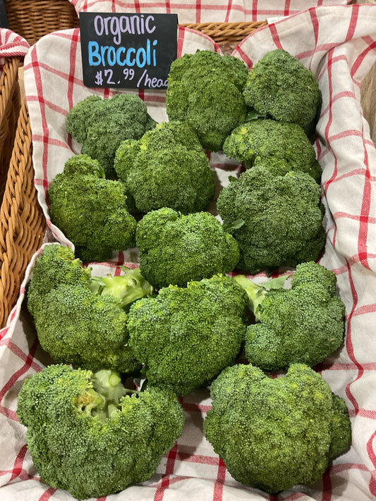 Organic Broccoli
