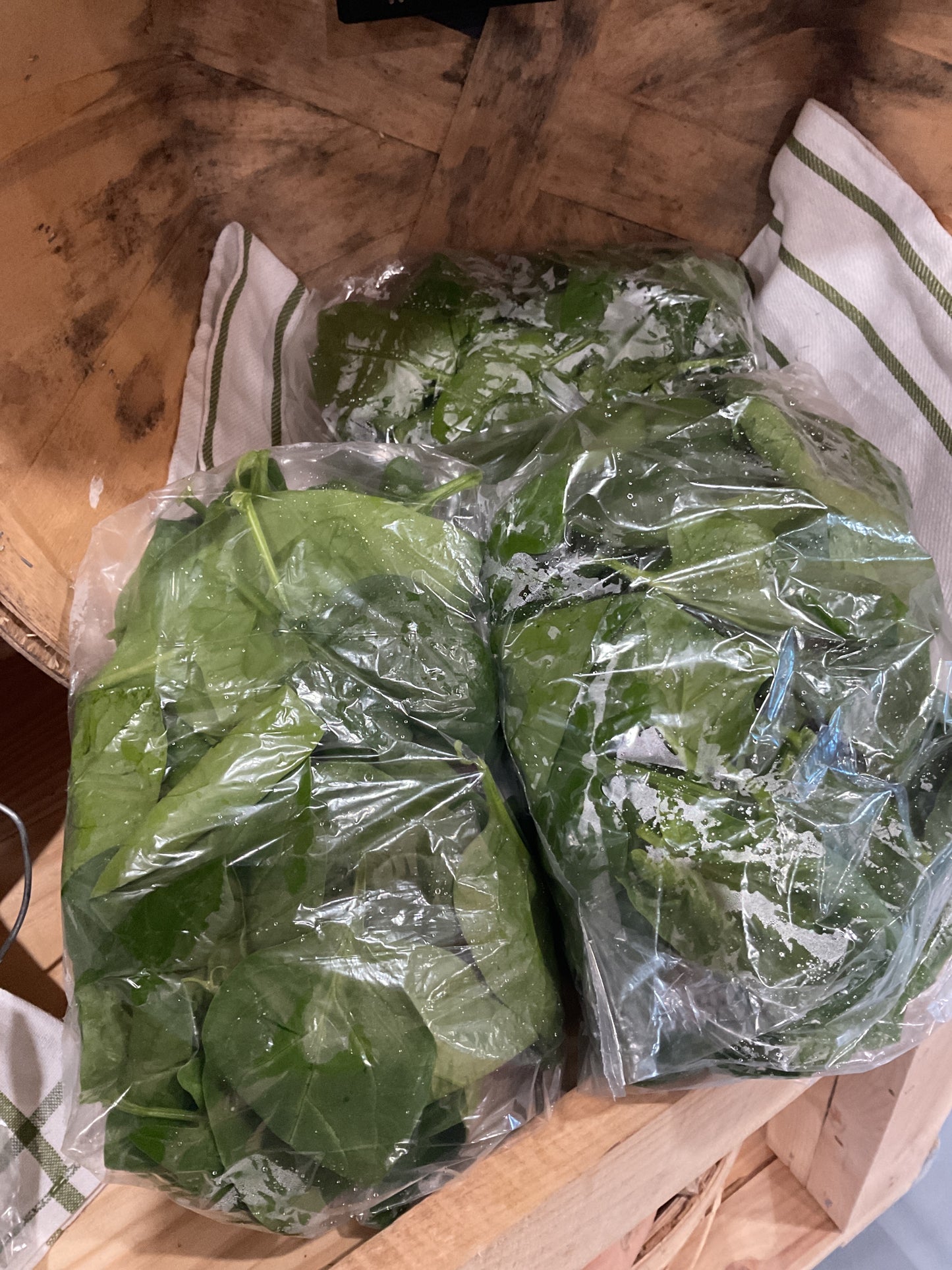 Spinach