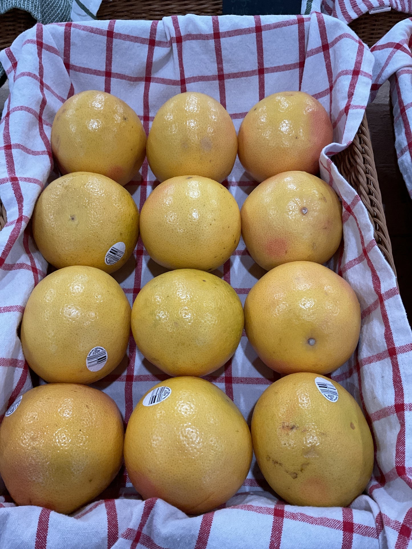 Grapefruit