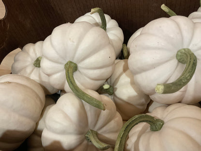 Pumpkins