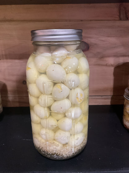 Pickled Quail Eggs