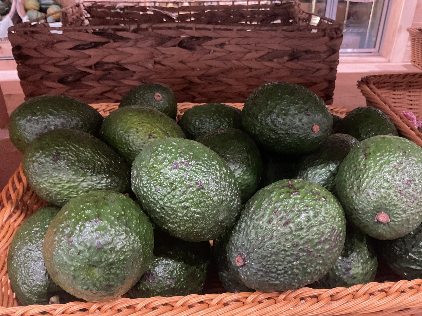 Avocado