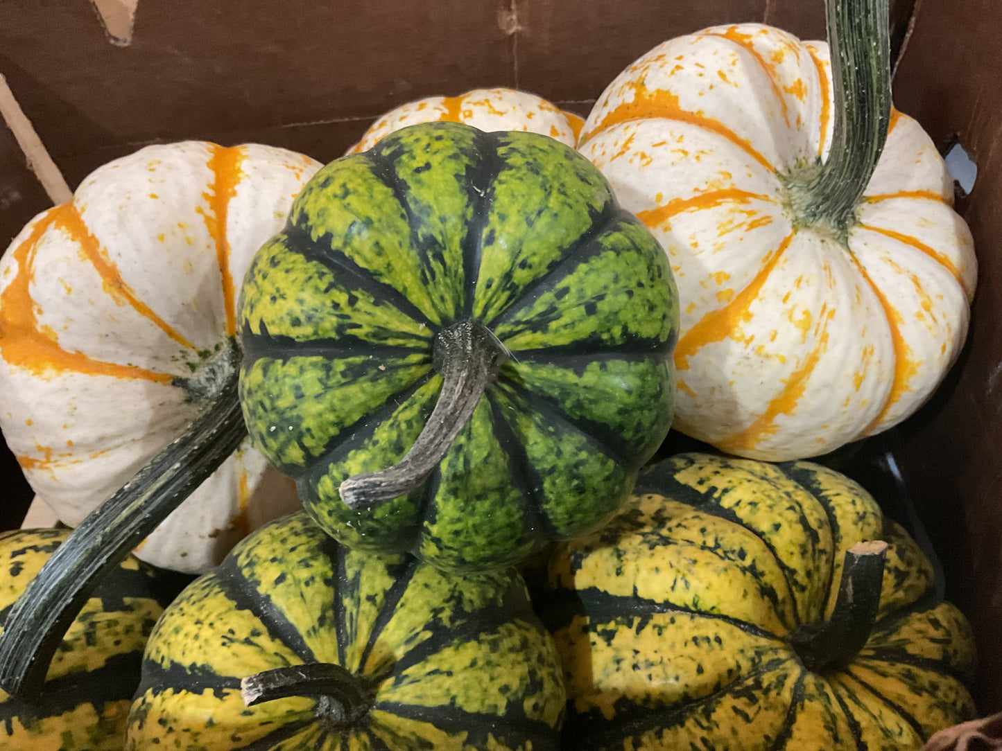 Pumpkins