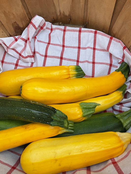 Local Squash