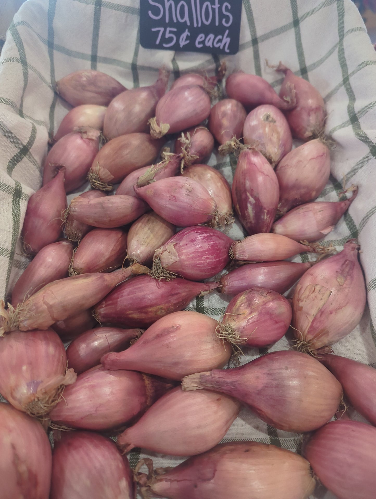 Shallots