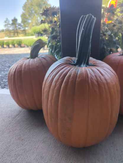 Pumpkins