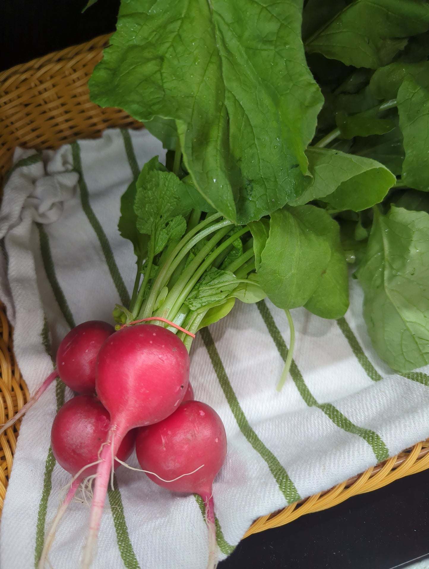 Radish