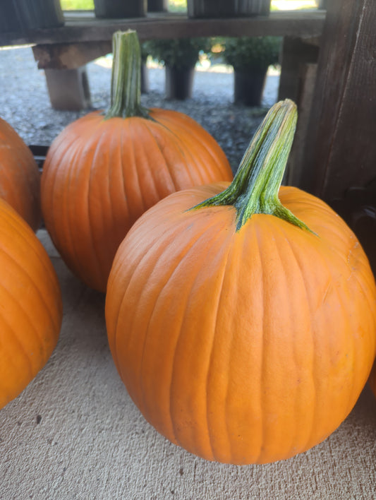 Pumpkins